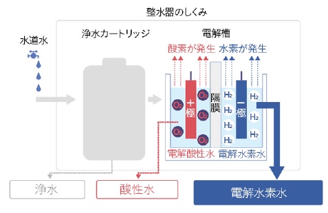 電解水素水が作られる仕組み